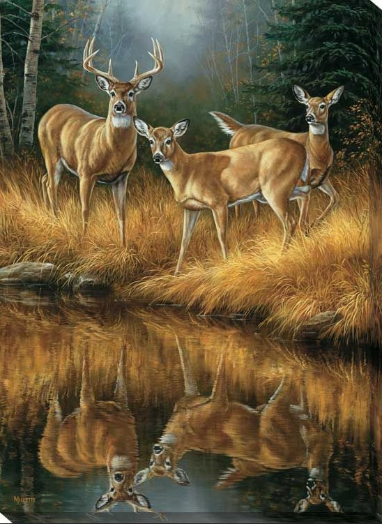 Diamantové malování - Jeleni (60x80)