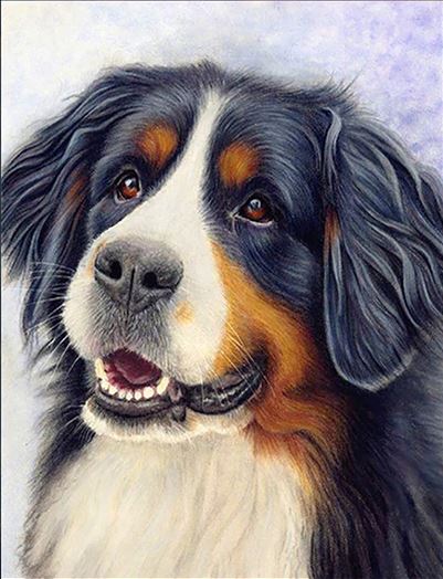 Diamond painting/Huacan - Bernský salašnický