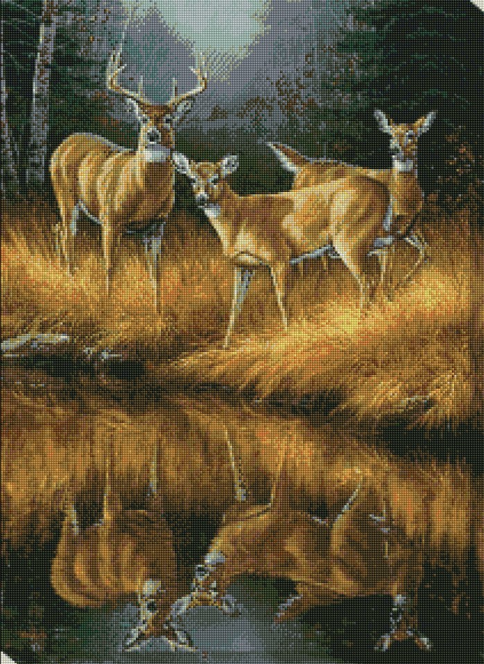 Diamantové malování - Jeleni (60x80)