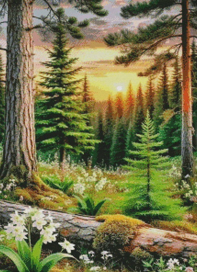 Diamantové malování - V lese (60x80)