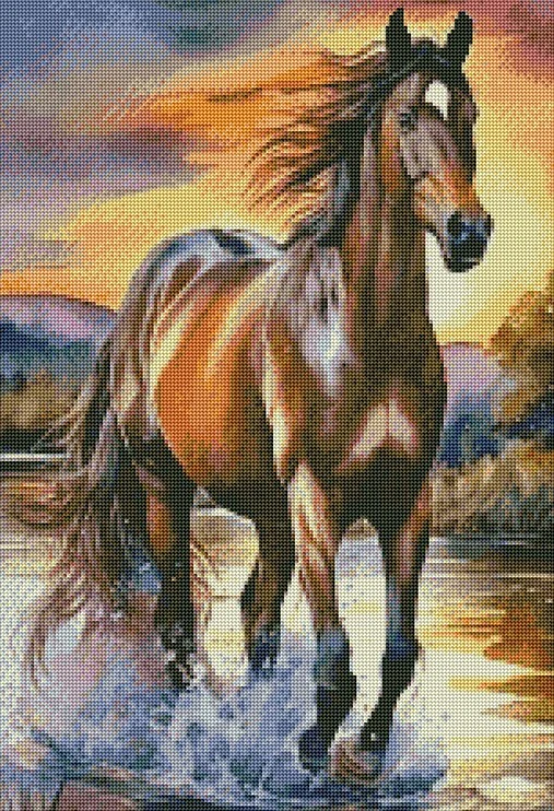 Diamantové malování - Kůň ve vodě (50x70)