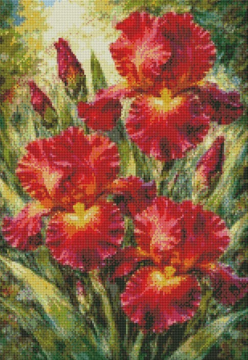 Diamantové malování - Červený kosatec + perleťové kamínky (50x70)