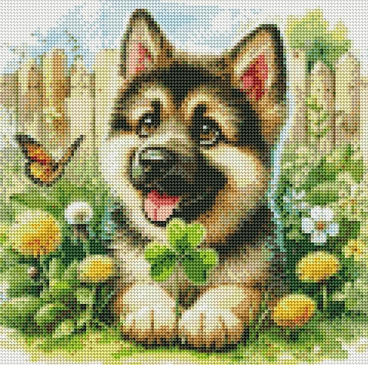 Diamantové malování - Štěně v zahradě (40x40)