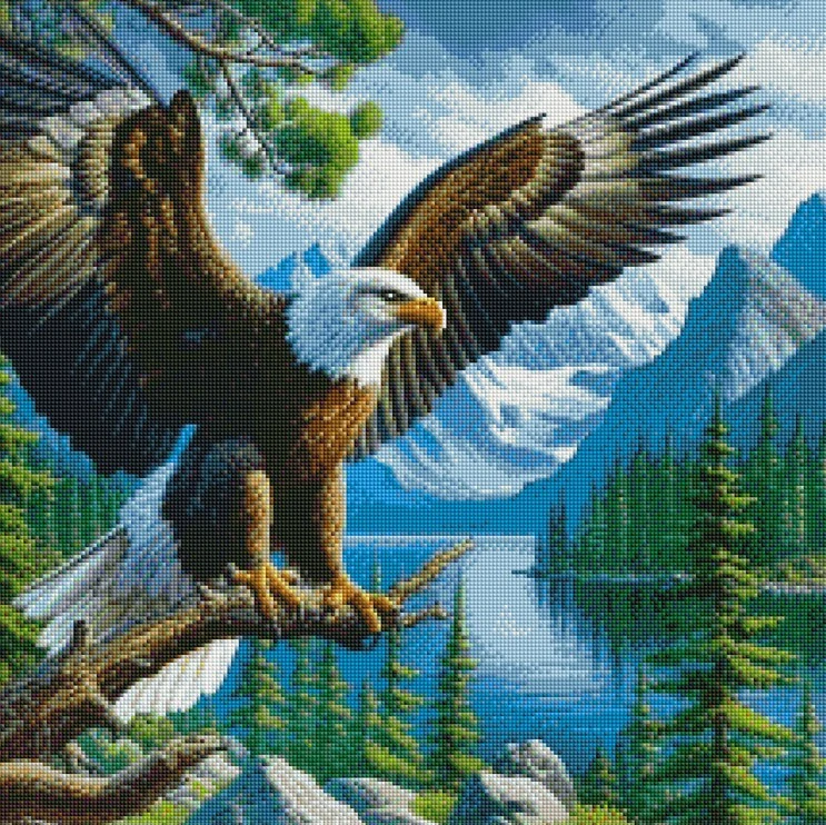 Diamantové malování - Orel u jezera (60 x 60)