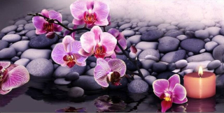 Diamantové malování - XXXL - Orchideje a lávové kameny (200x100)