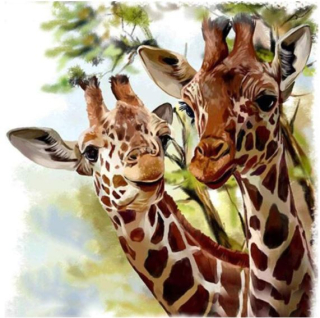 Diamantové malování - Žirafy