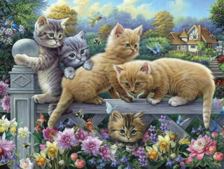 Diamantové malování - Koťátka na zahrádce (50 x 70)