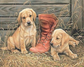 Diamond painting/Homfun - Labradoři a bota