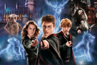 Diamantové malování - Harry Potter (50x70)