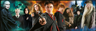Diamantové malování - Harry Potter (110x40)