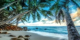 Diamantové malování - Relax na pláži + perleťové kamínky (100x50)