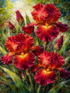 Diamantové malování - Červený kosatec + perleťové kamínky (50x70)